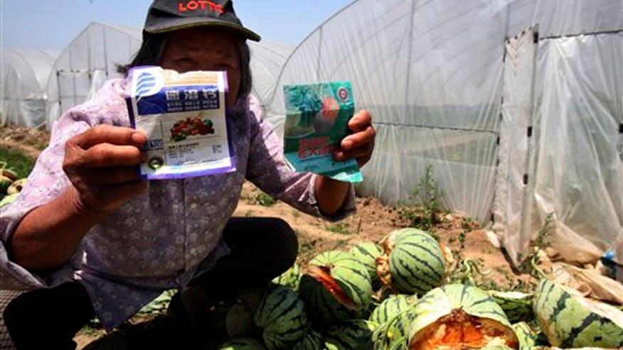 Exploding watermelons in China.jpg